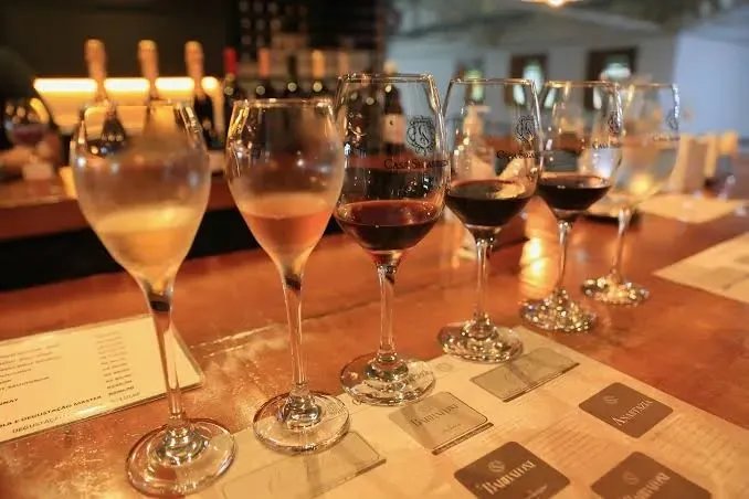 Fileira de taças de vidro com diferentes tipos de vinhos e espumantes alinhadas para degustação sobre balcão de madeira na Vinícola Casa Seganfredo, em Gramado.