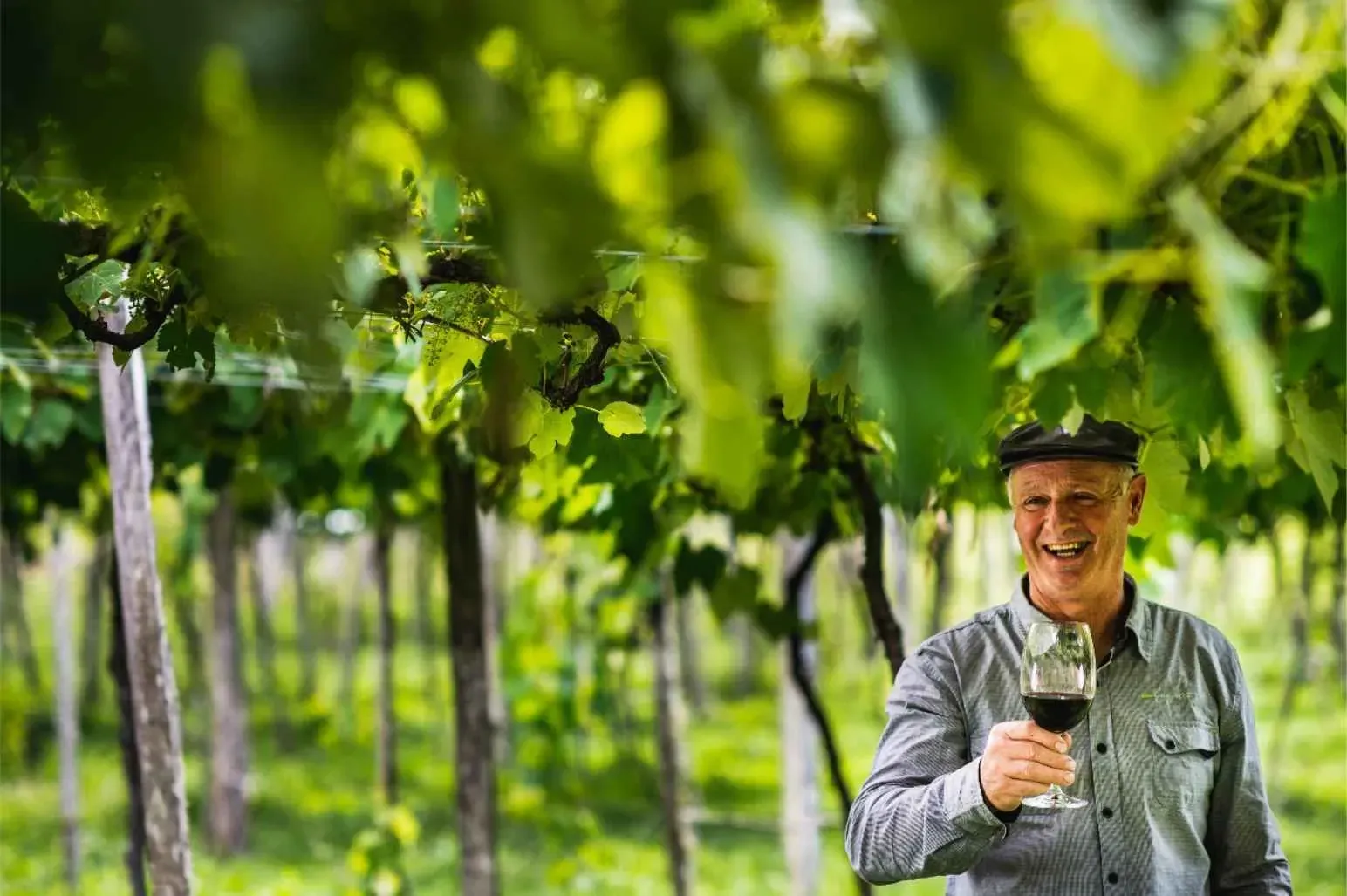 Homem sorridente vestindo boina segurando uma taça de vinho tinto sob as folhas verdes de um parreiral de uvas em uma vinícola acolhedora na Serra Gaúcha.