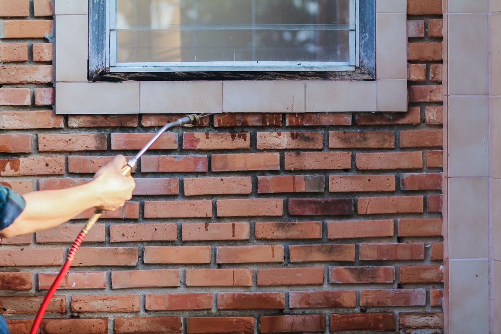 A Man is Cleaning a Brick Wall With a Hose — Rozken Pest Control Services In Beechwood, NSW