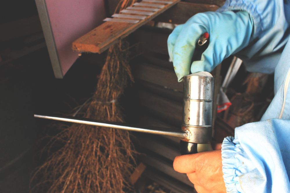 A Person Wearing Blue Gloves is Holding a Metal Object — Rozken Pest Control Services In Kew, NSW