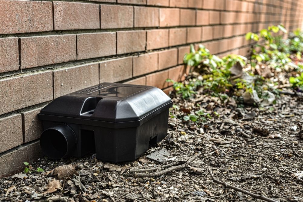 A Black Mouse Trap is Sitting on the Ground Next to a Brick Wall — Rozken Pest Control Services In Lake Cathie, NSW