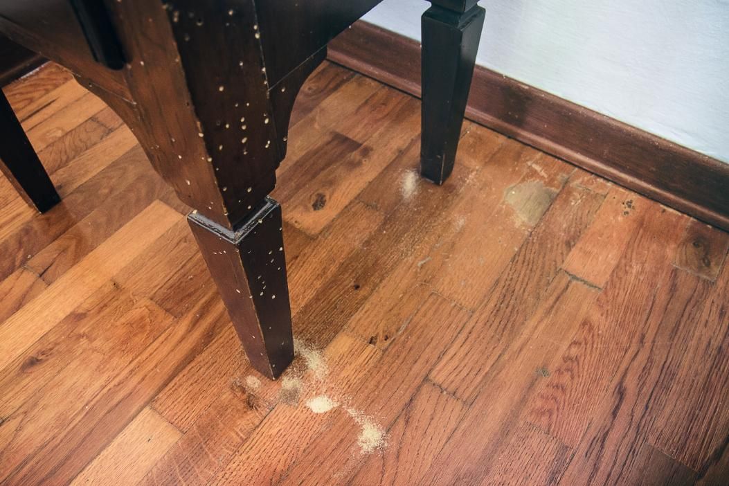A Wooden Floor With a Chair and a Table on It — Rozken Pest Control Services In Lake Cathie, NSW