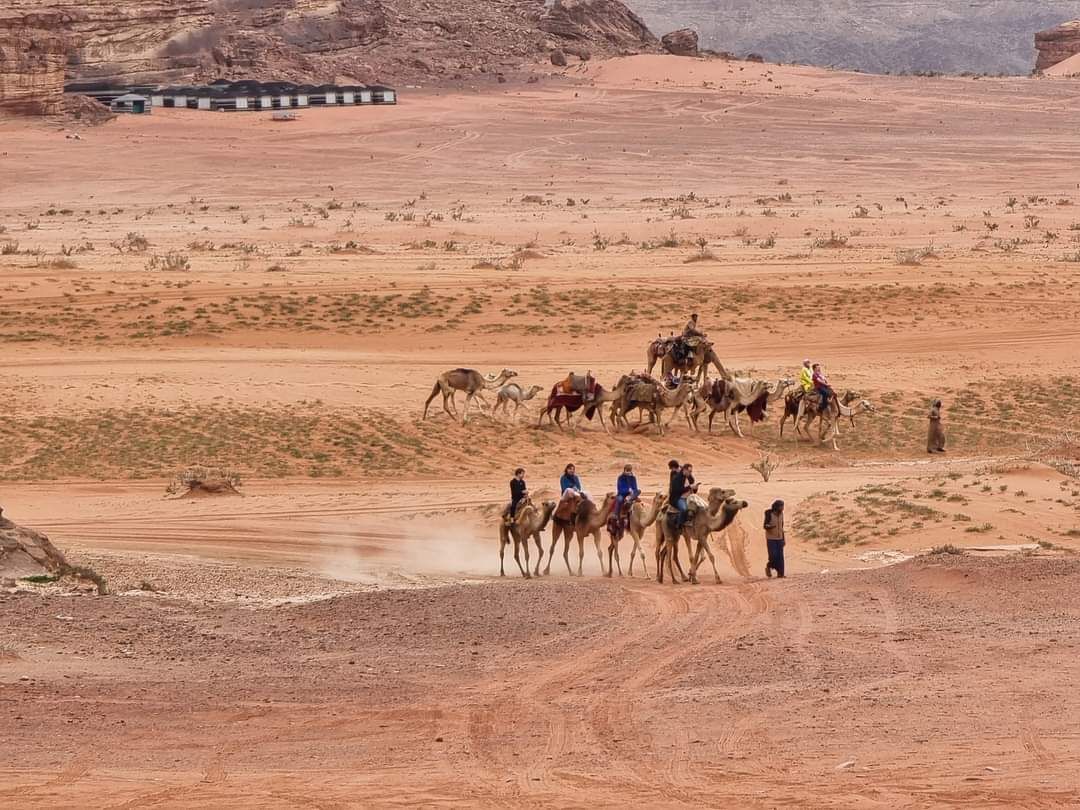 Wadi Rum Glamping Experience image