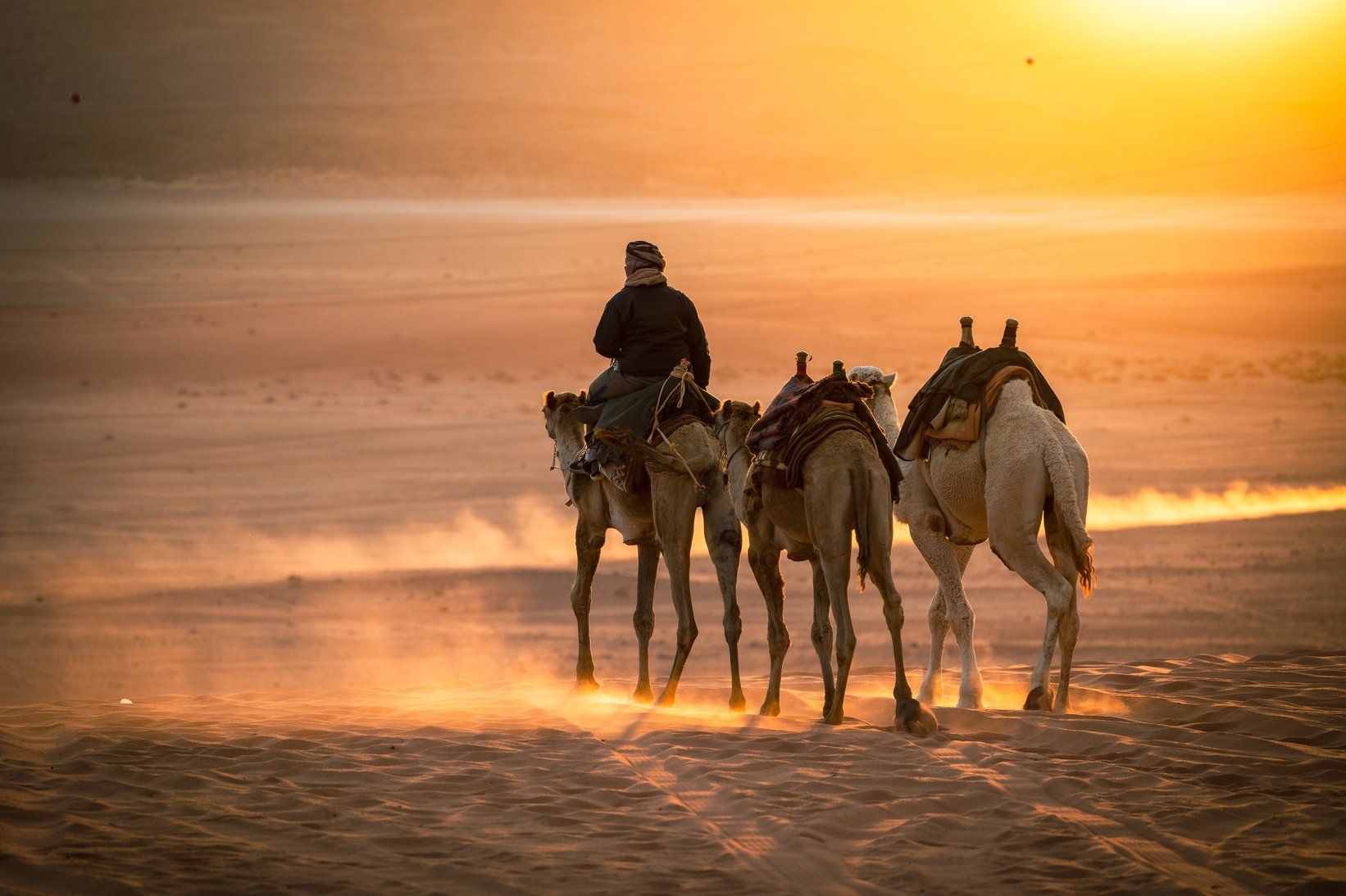 Camel ride through the beautiful desert landscape of Wadi Rum, Jordan