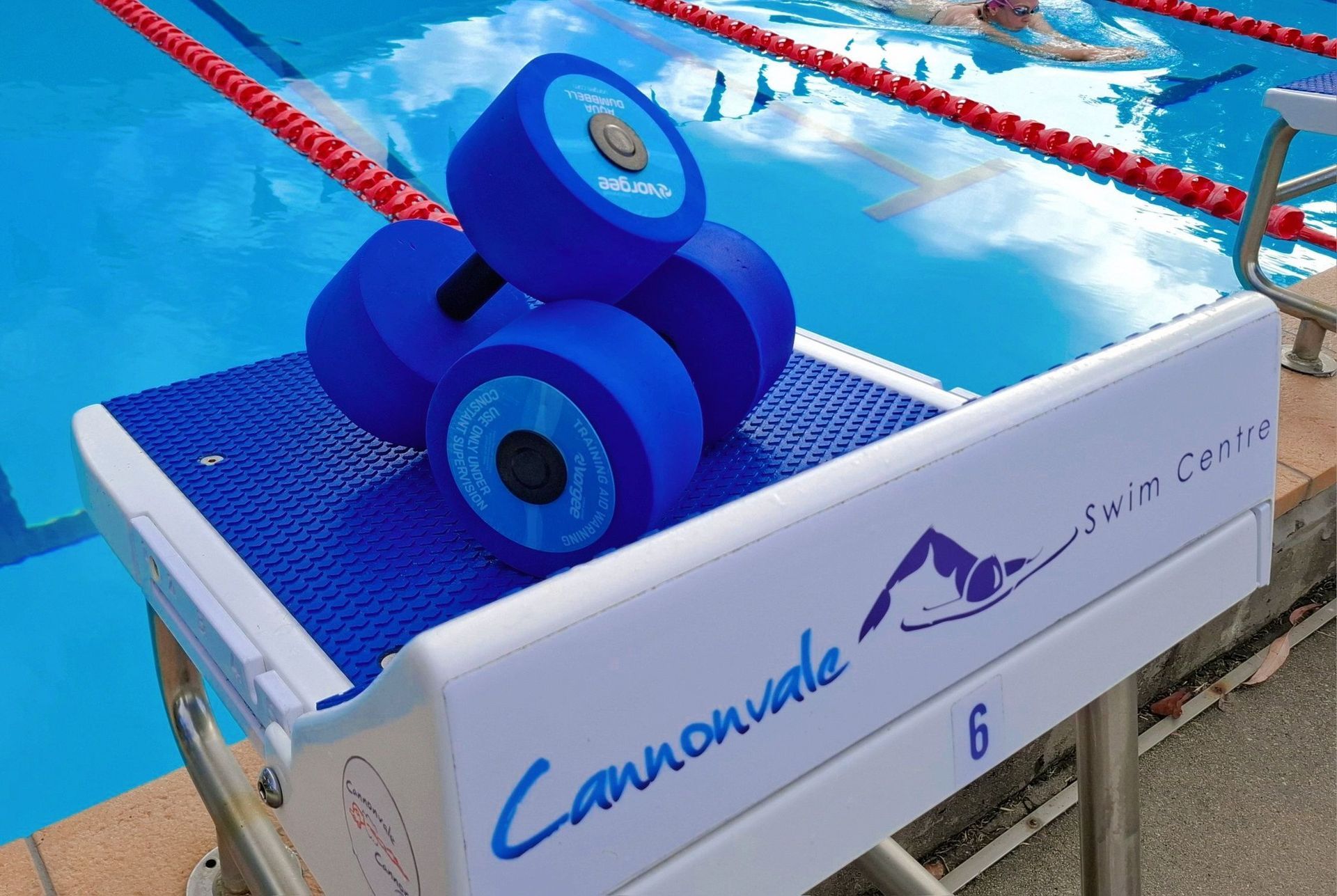 Blue water weights stacked on a white starting block at a swimming pool. — Cannonvale Swim Centre In Cannonvale, QLD
