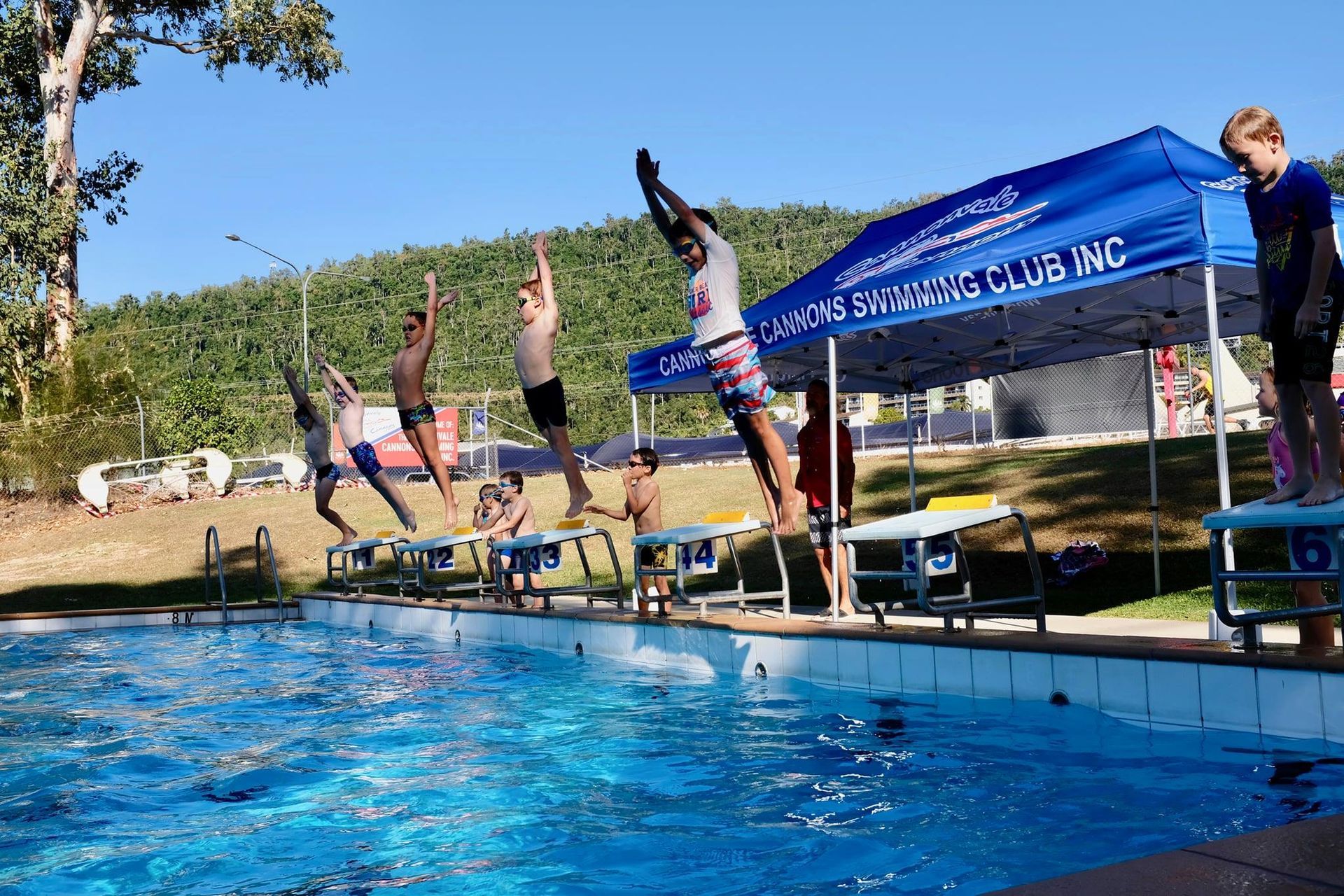 Swimmers Dive Into a Pool From Starting Blocks — Cannonvale Swim Centre In Cannonvale, QLD