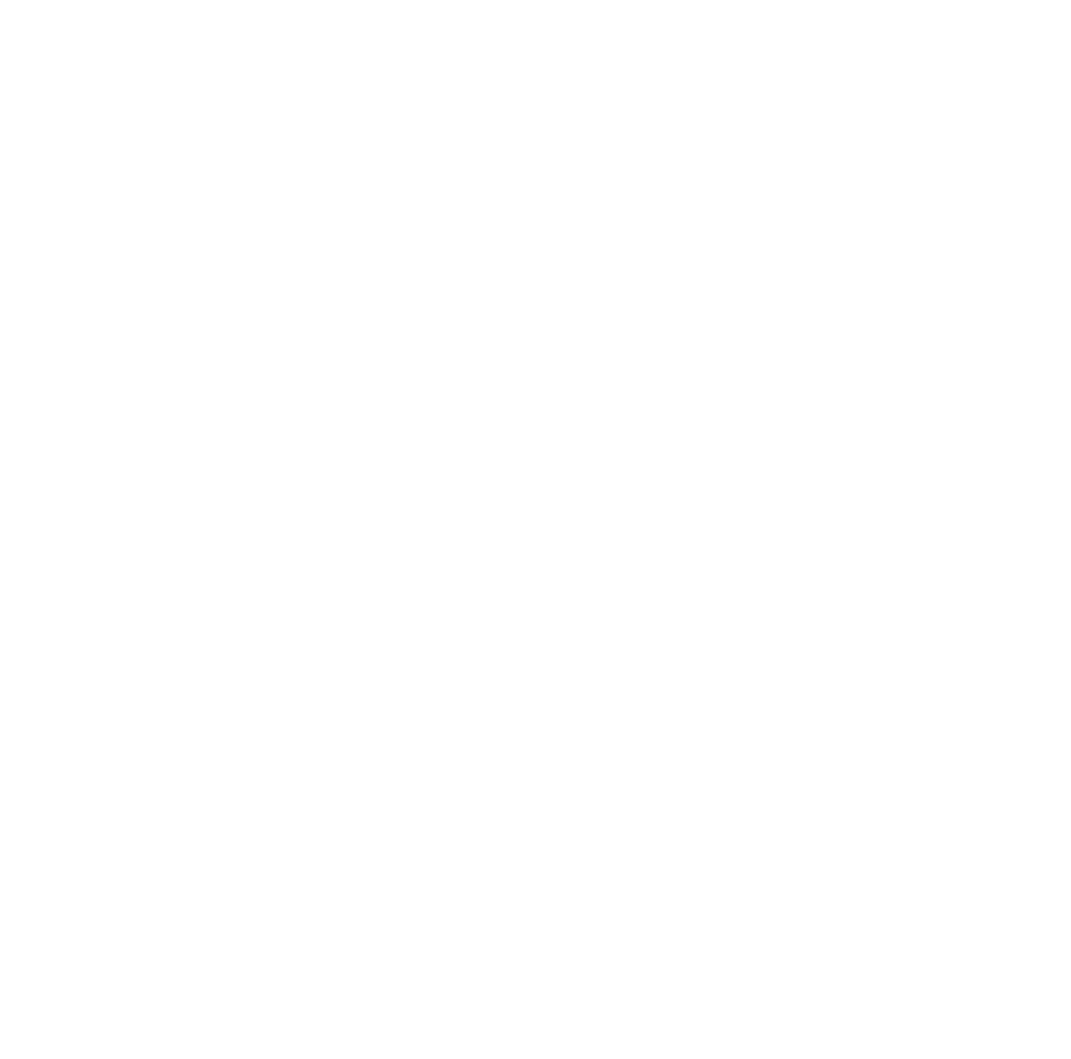 Fulton Swim School logo