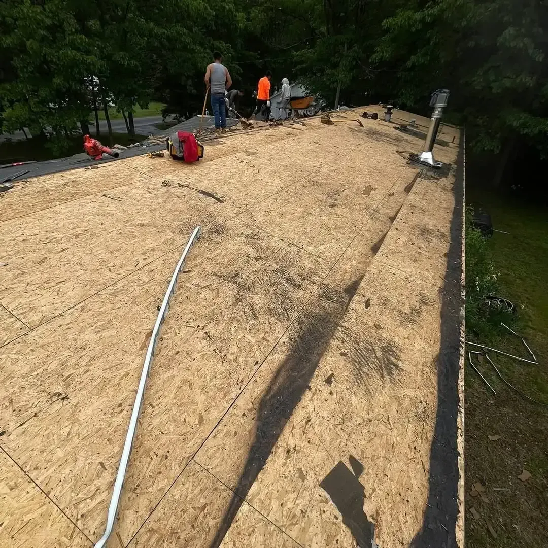A group of people are working on a roof in the woods.