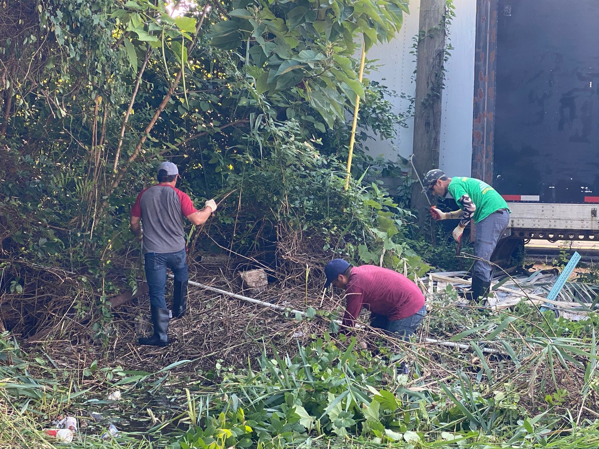 YARD WASTE REMOVAL