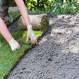 Gloved hands smoothing the edge between green grass and a freshly laid gravel path