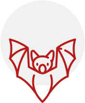 bat-icon
