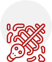 dead-animal-Icon