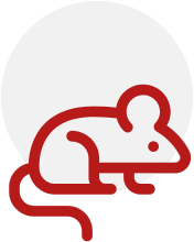mouse-icon