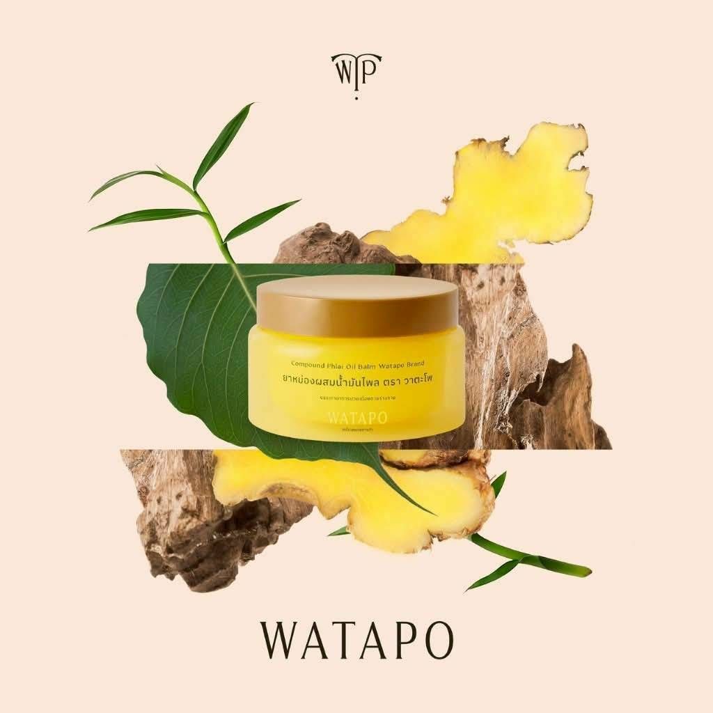 泰國臥佛寺 WATAPO 薄荷薑黃草本涼感萬用膏 100g