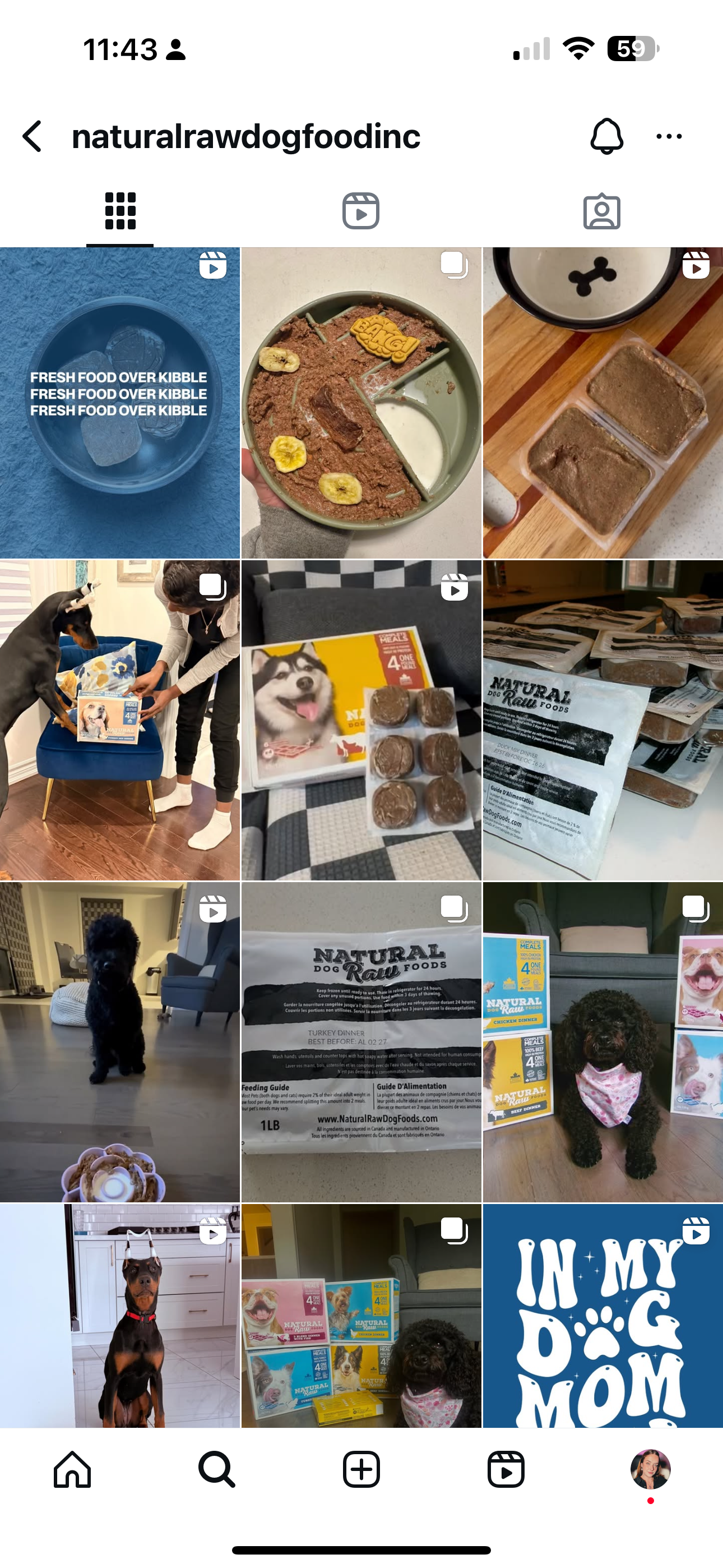 A collage of pictures of dogs and food on a cell phone.