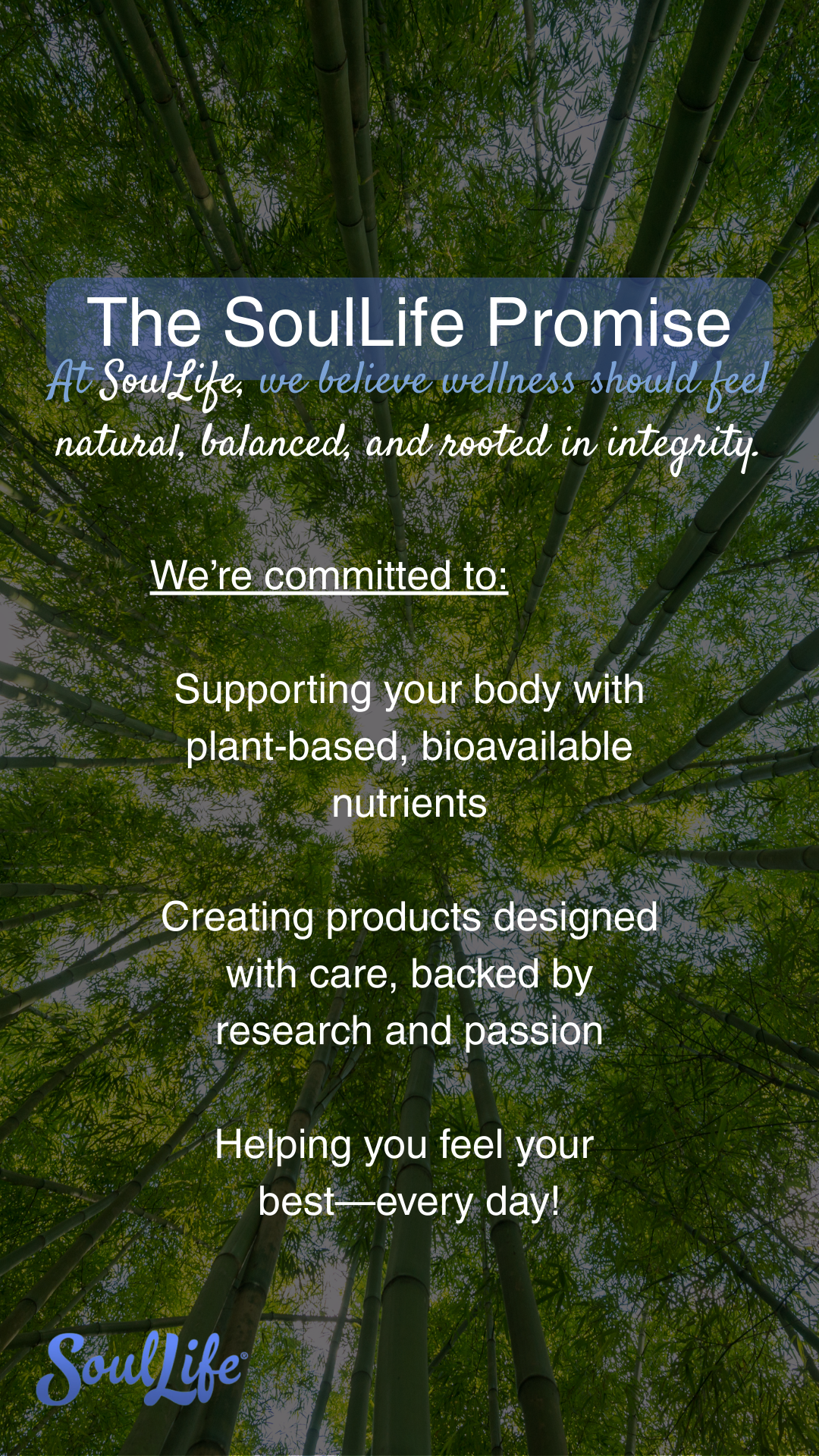 The soullife promise is written on a poster with trees in the background.