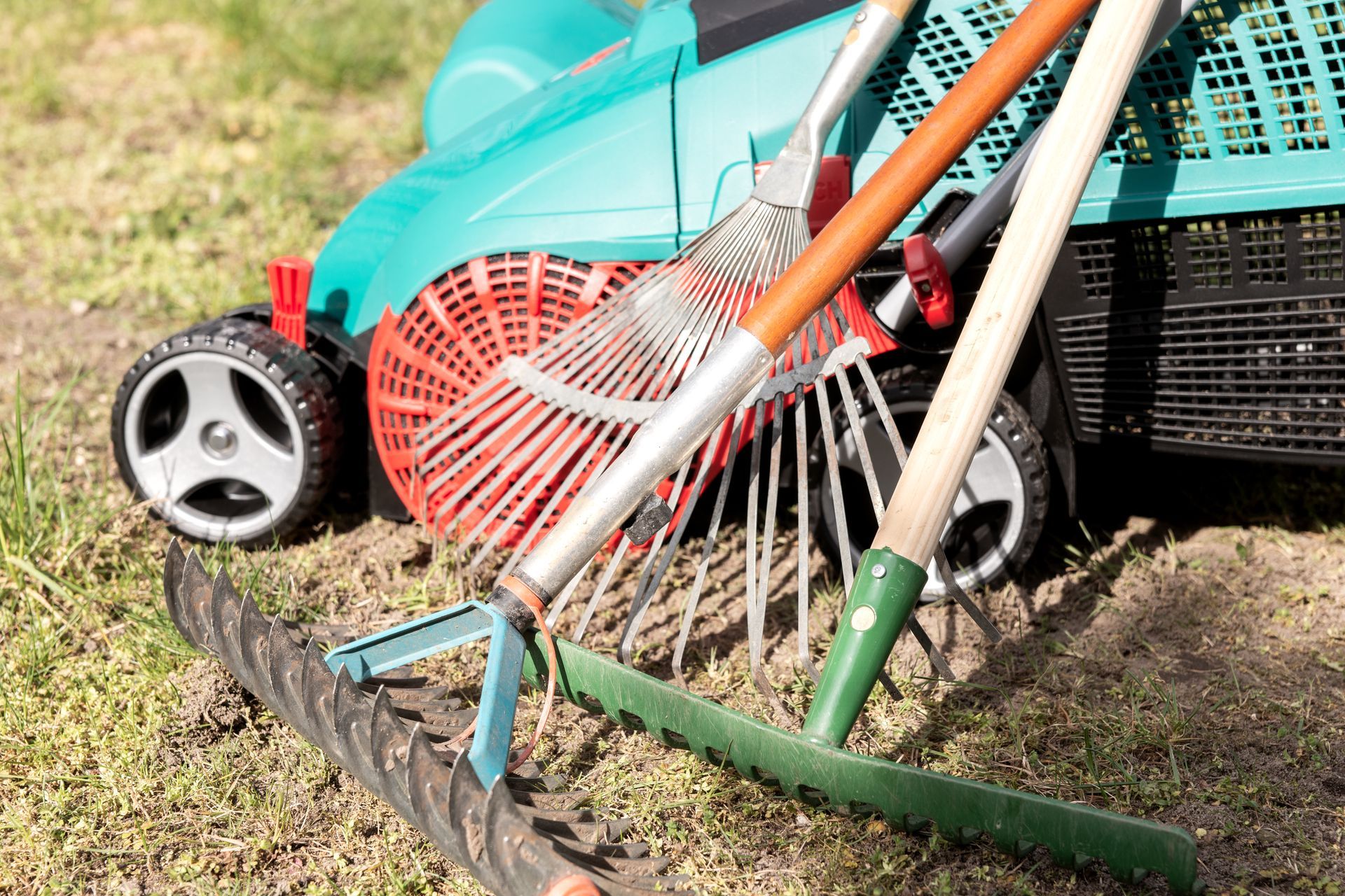 Articoli per il giardinaggio