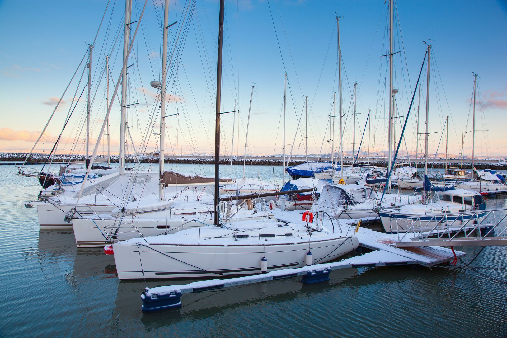 A group of sailboats are docked in a harbor covered in snow.
