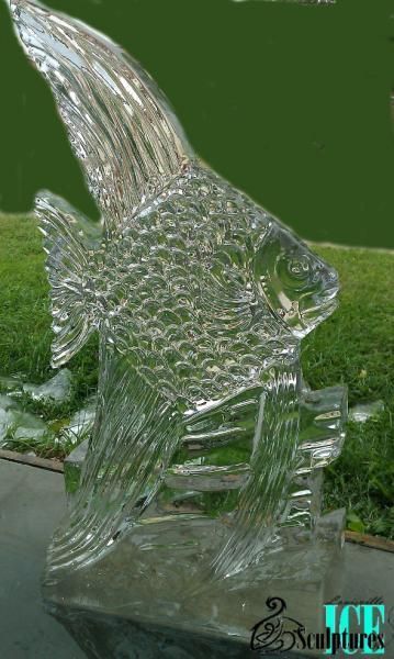 Clear glass fish sculpture on green grass, with a textured, reflective surface and a pointed fin.