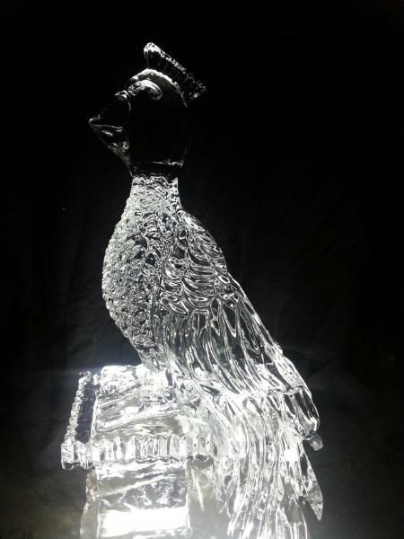 Transparent glass bird sculpture on a pedestal against a dark background