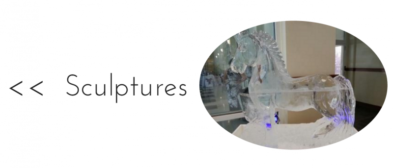 Sculptures label beside an oval photo of a glass sculpture with blue lights