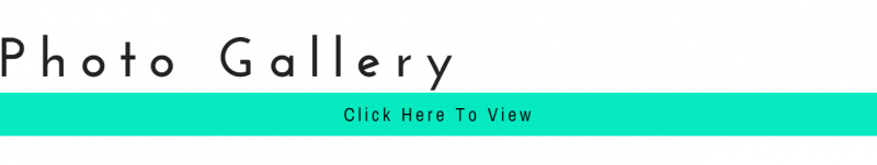 “View Catalog” link with a turquoise “Click here” button underneath