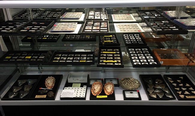 Vintage Item Display Case — Winston Salem, NC — Carolina Coin & Trading Company