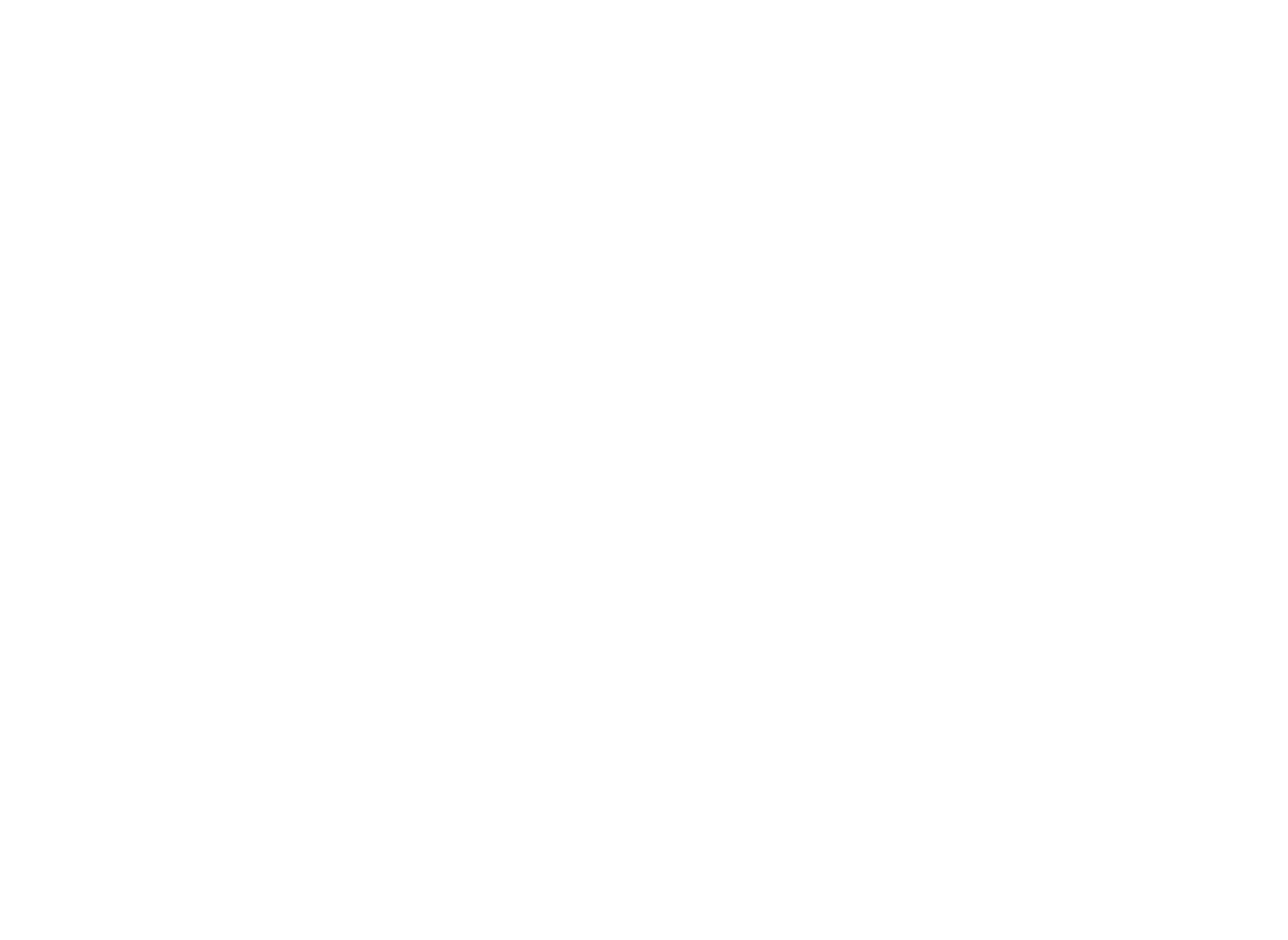 Carmen & Co Consulting Strategic Consulting in Southeast Queensland