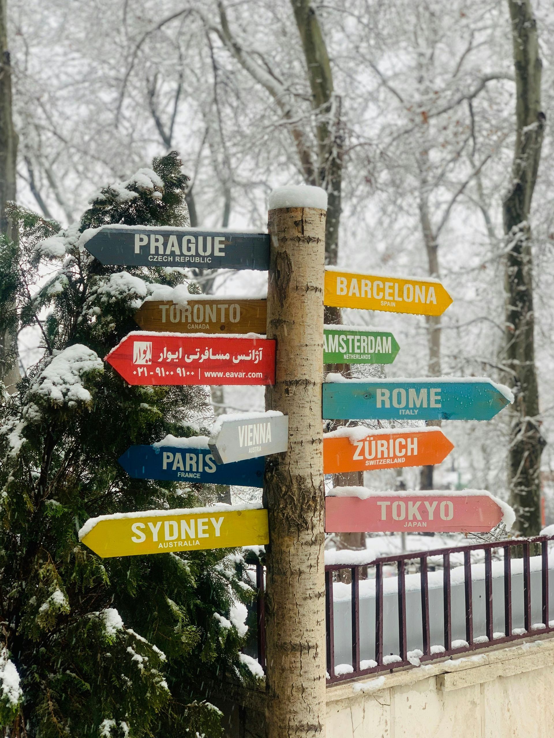 A row of signs pointing in different directions including Prague Toronto and Sydney -  Carmen & Co Consulting Strategic Consulting in Southeast Queensland