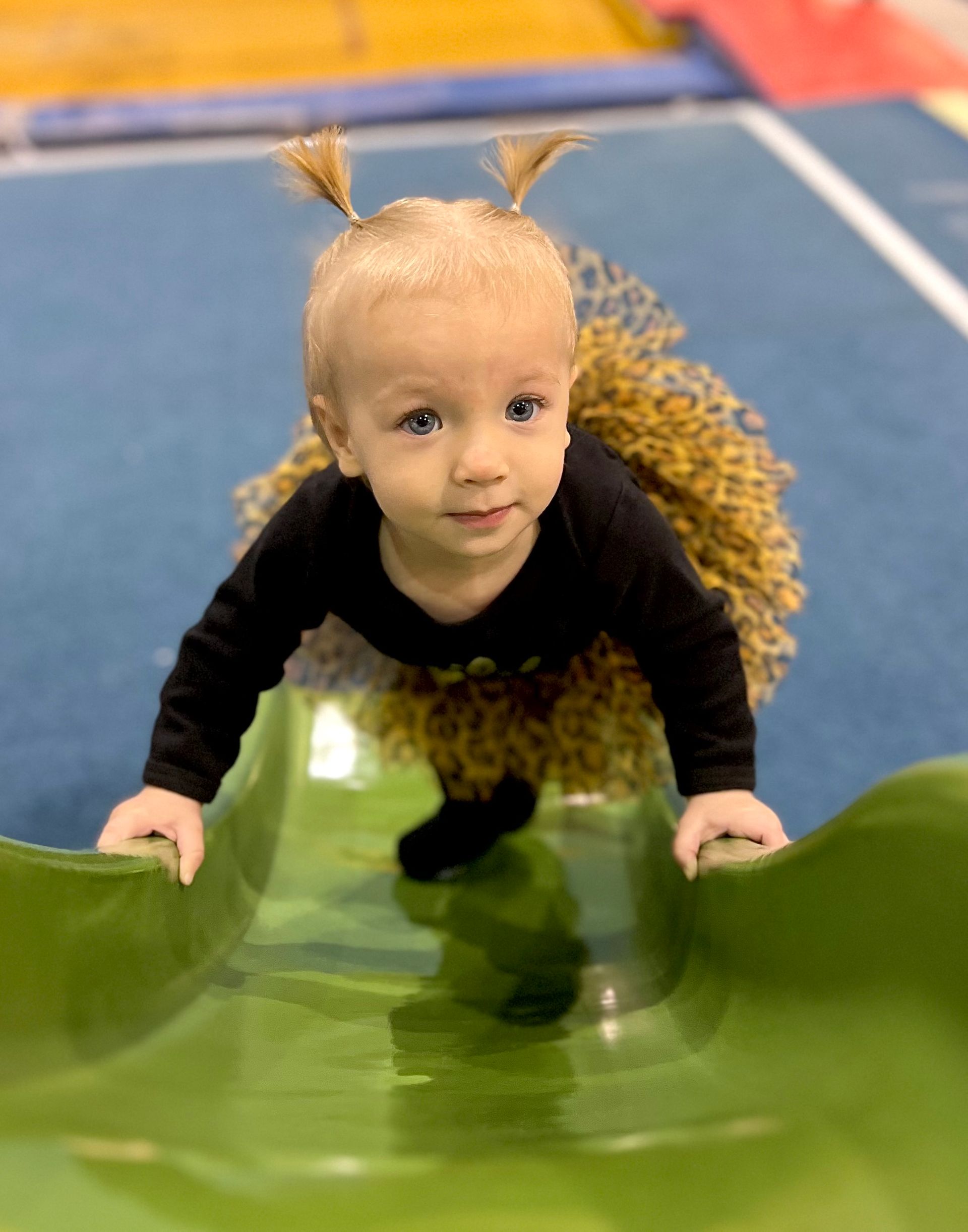 Browse Our Gallery Everest Gymnastics Galloway, NJ