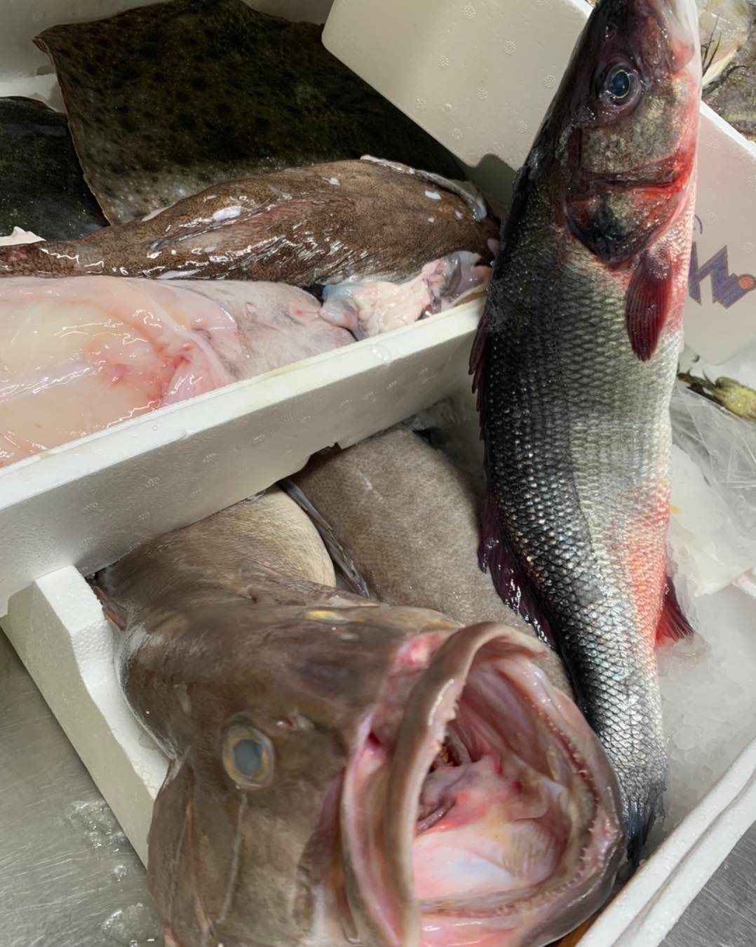 cruditè di pesce sul lago di garda