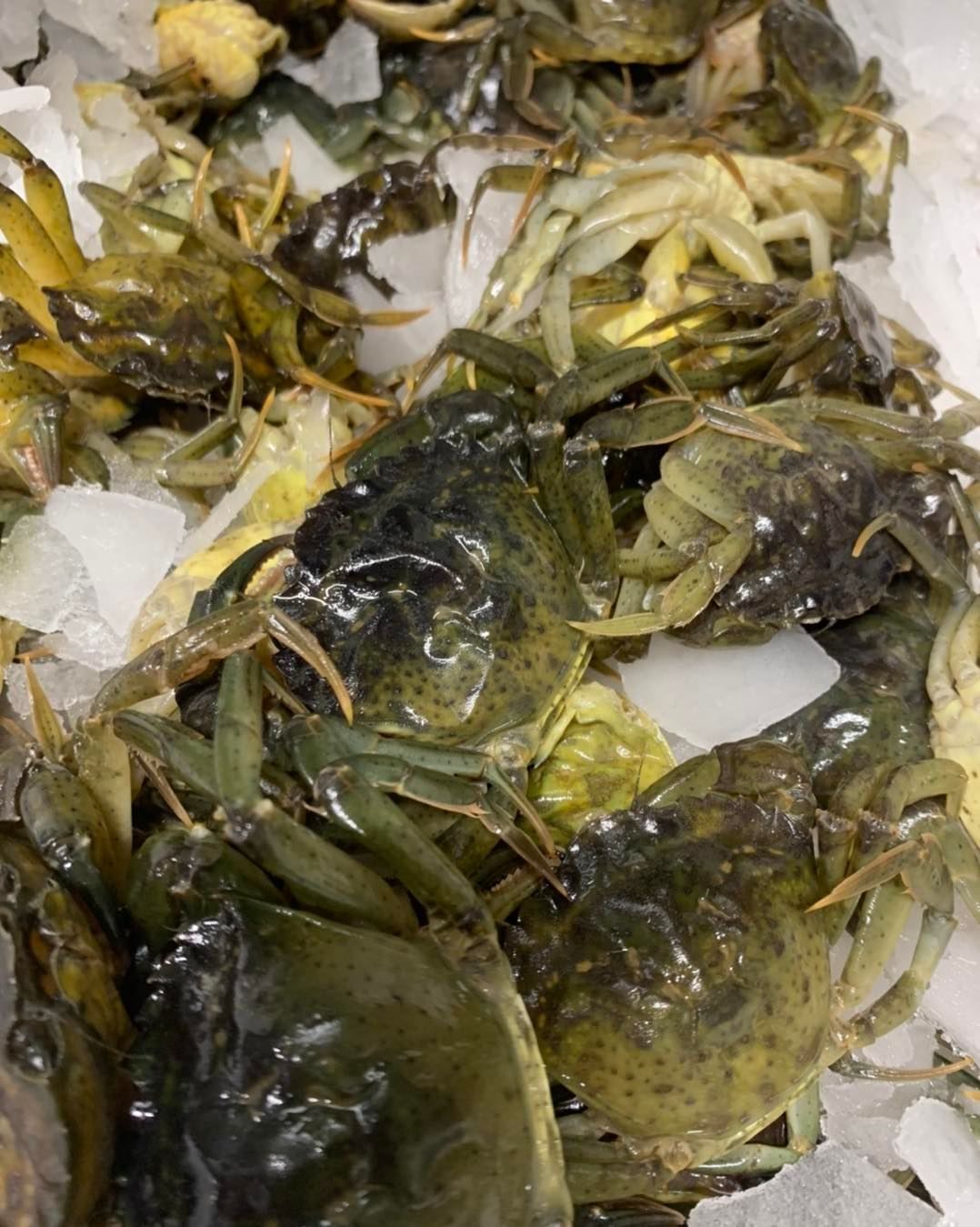 menù di pesce lago di garda