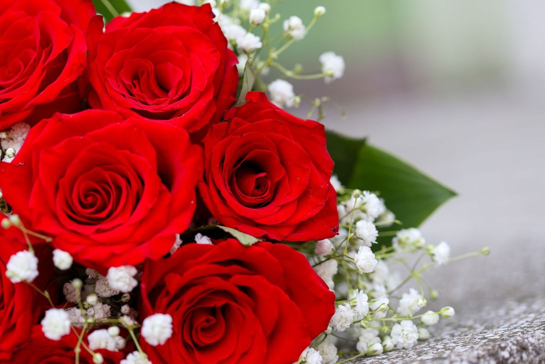 rose rosse