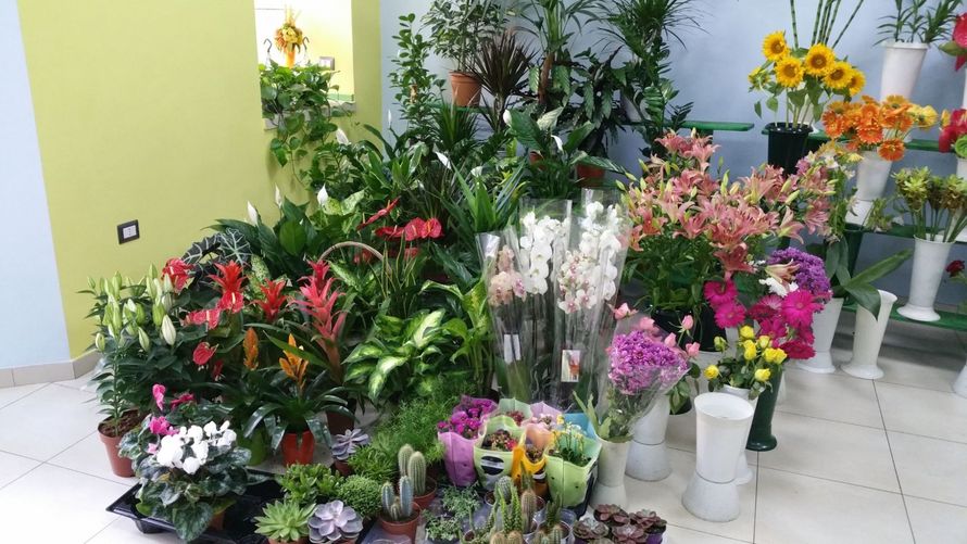 decorazione floreale