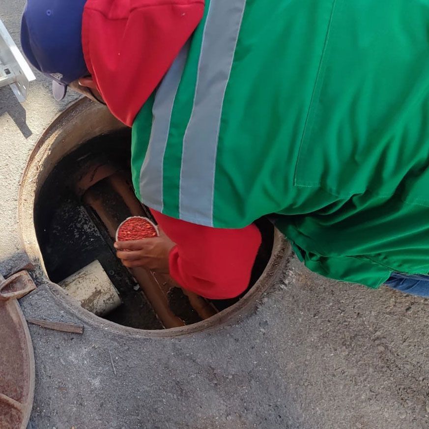 aplicación en el exterior