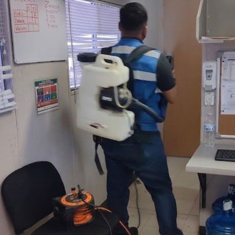 Nebulizacion oficinas contra cucaracha y mosca