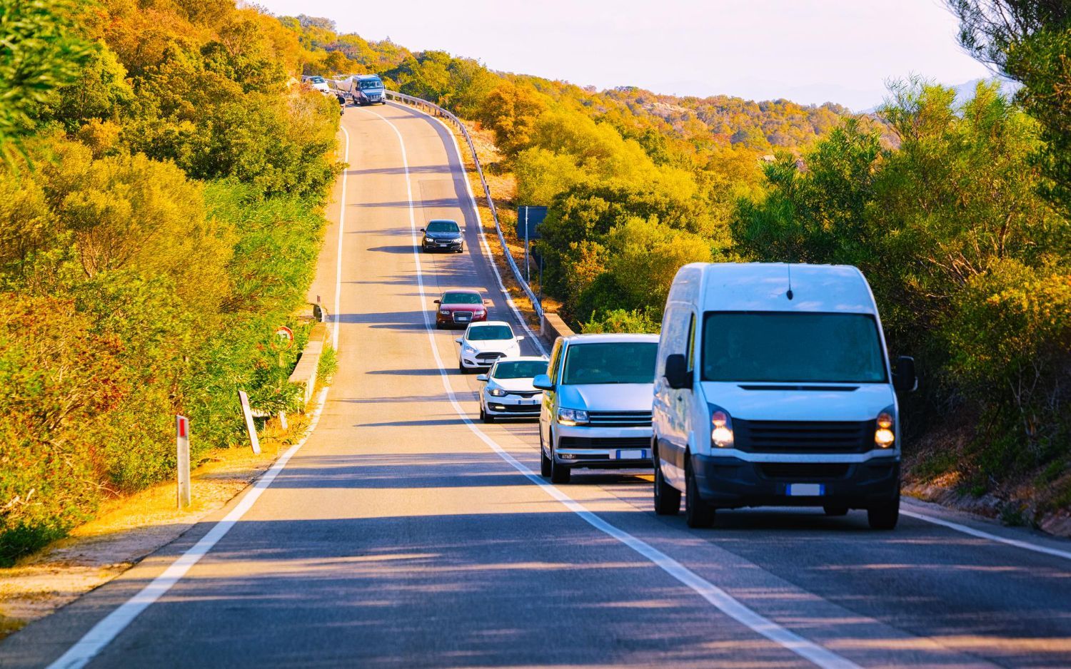 Cars driving on a winding road through a sunny landscape lined with trees.