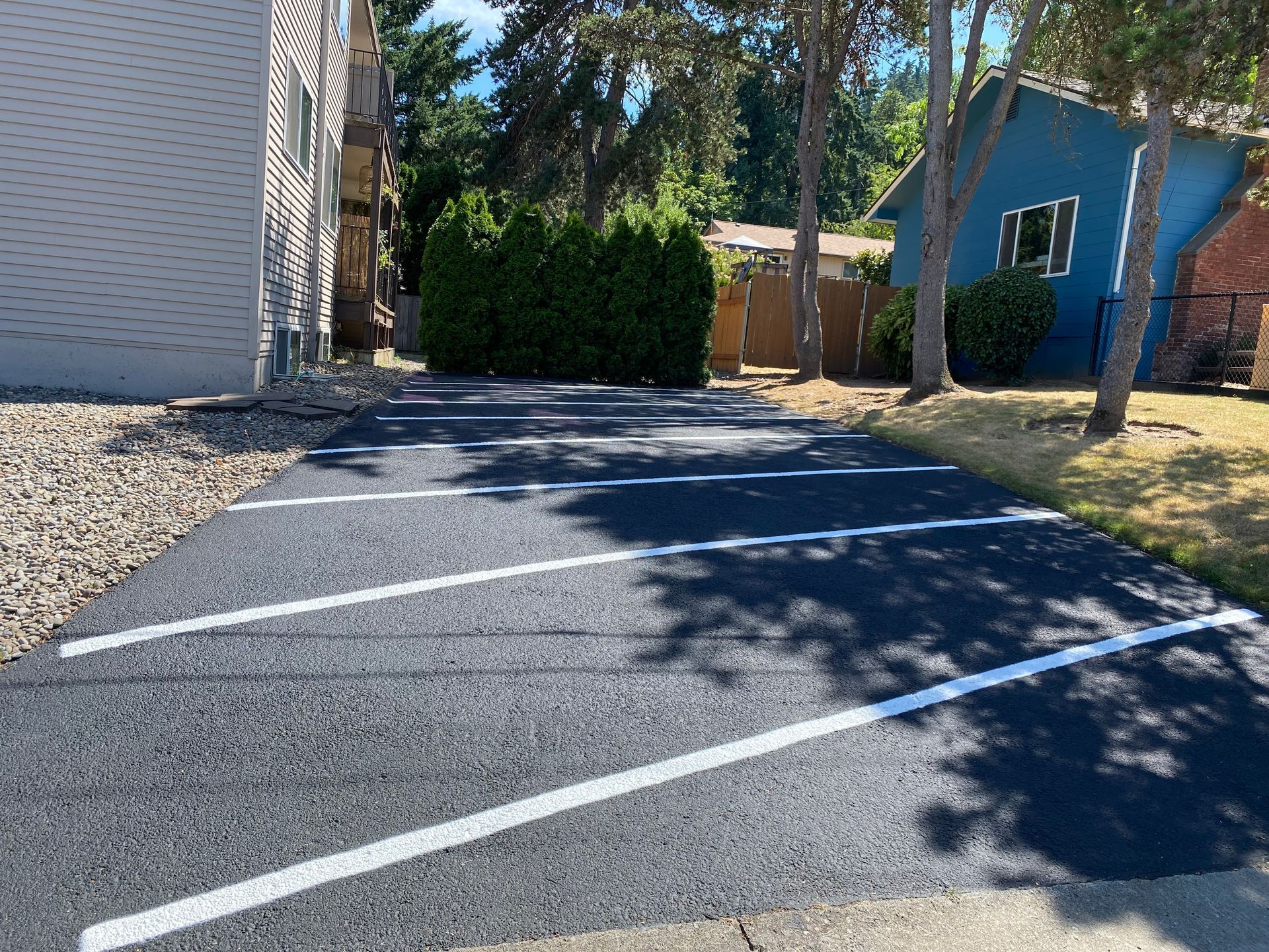Asphalt parking lot with white painted lines, trees, and buildings. Sunny day.