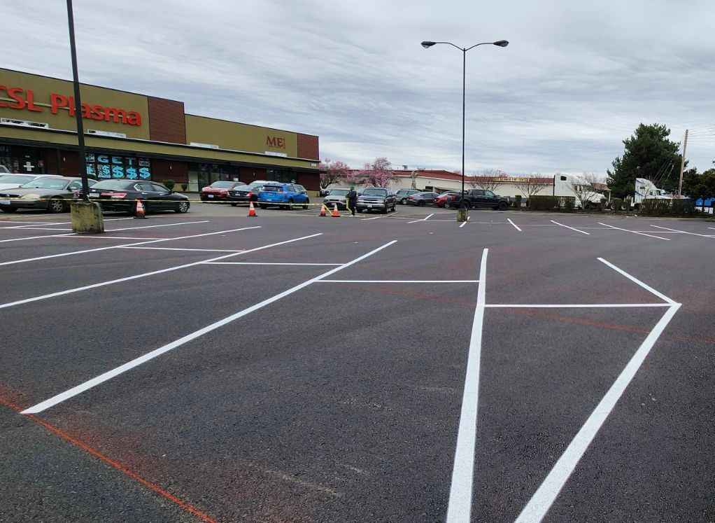 Newly painted parking lot with white lines, in front of a grocery store. Cars are parked. Overcast day.