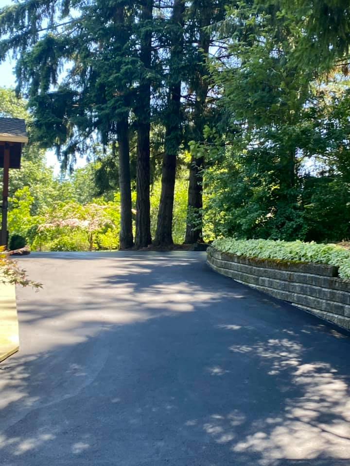 Paved driveway curving toward tall trees, a retaining wall with greenery on the right. Bright sunlight.