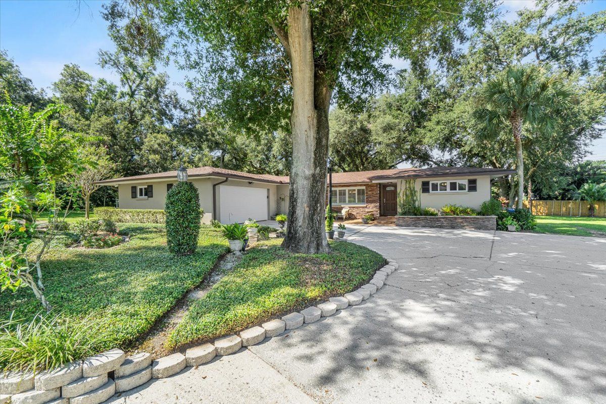 Tree-lined driveway leading to a single-story house with a garage and landscaped yard