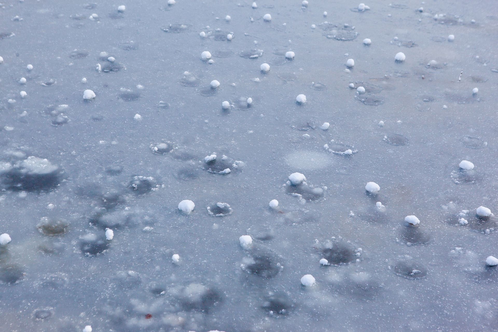 Close-up of small white pellets scattered across a wet, icy gray surface.