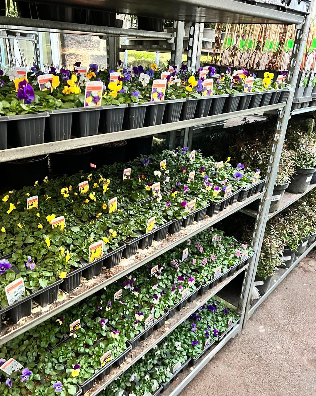 Gallery Garden Centre Yeadon, Leeds Chana Store