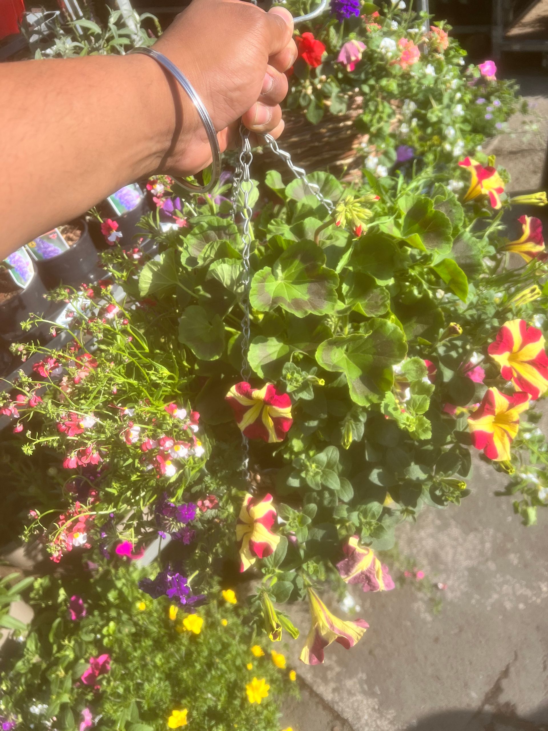 Gallery Garden Centre Yeadon, Leeds Chana Store