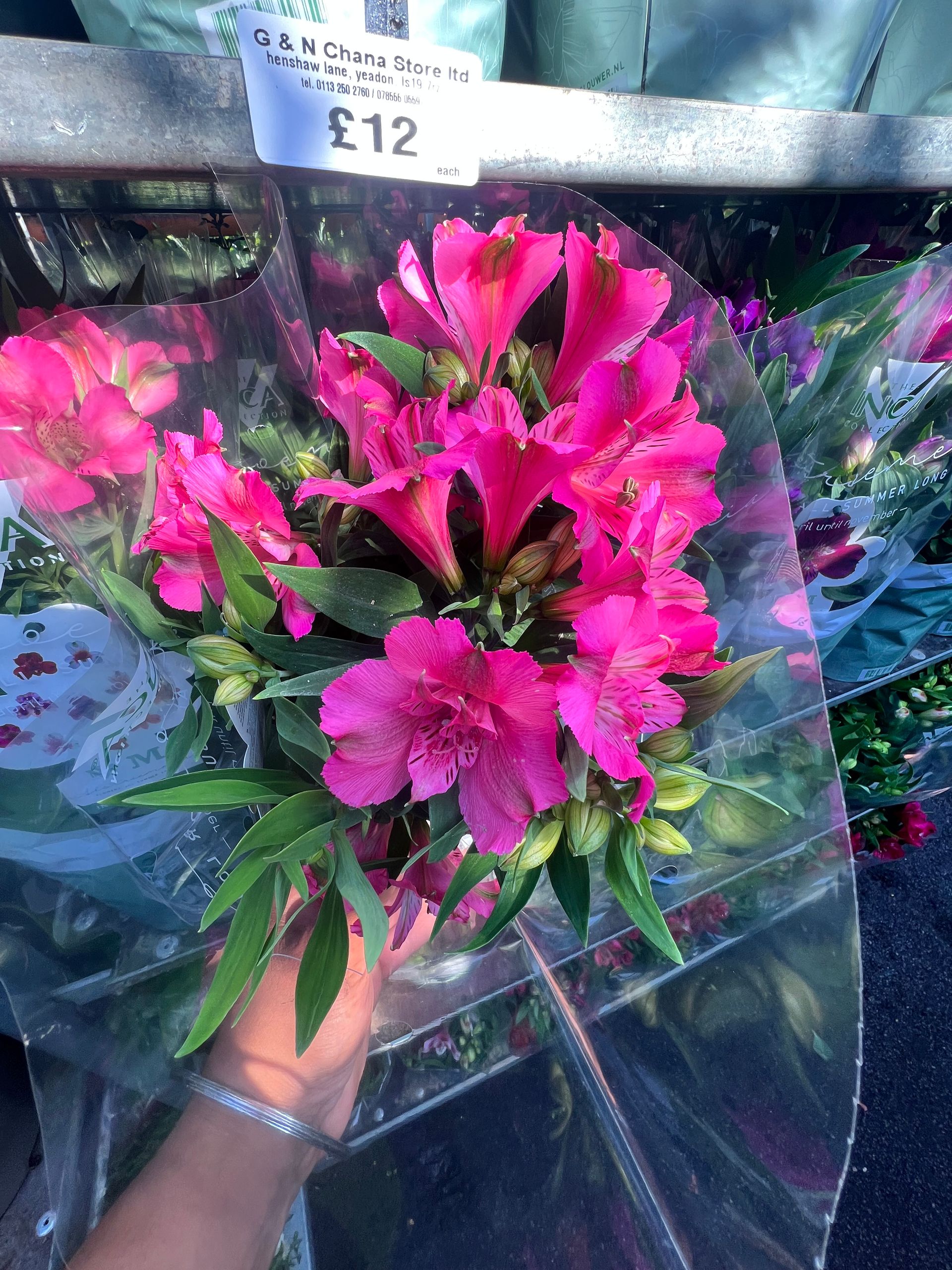 Gallery Garden Centre Yeadon, Leeds Chana Store