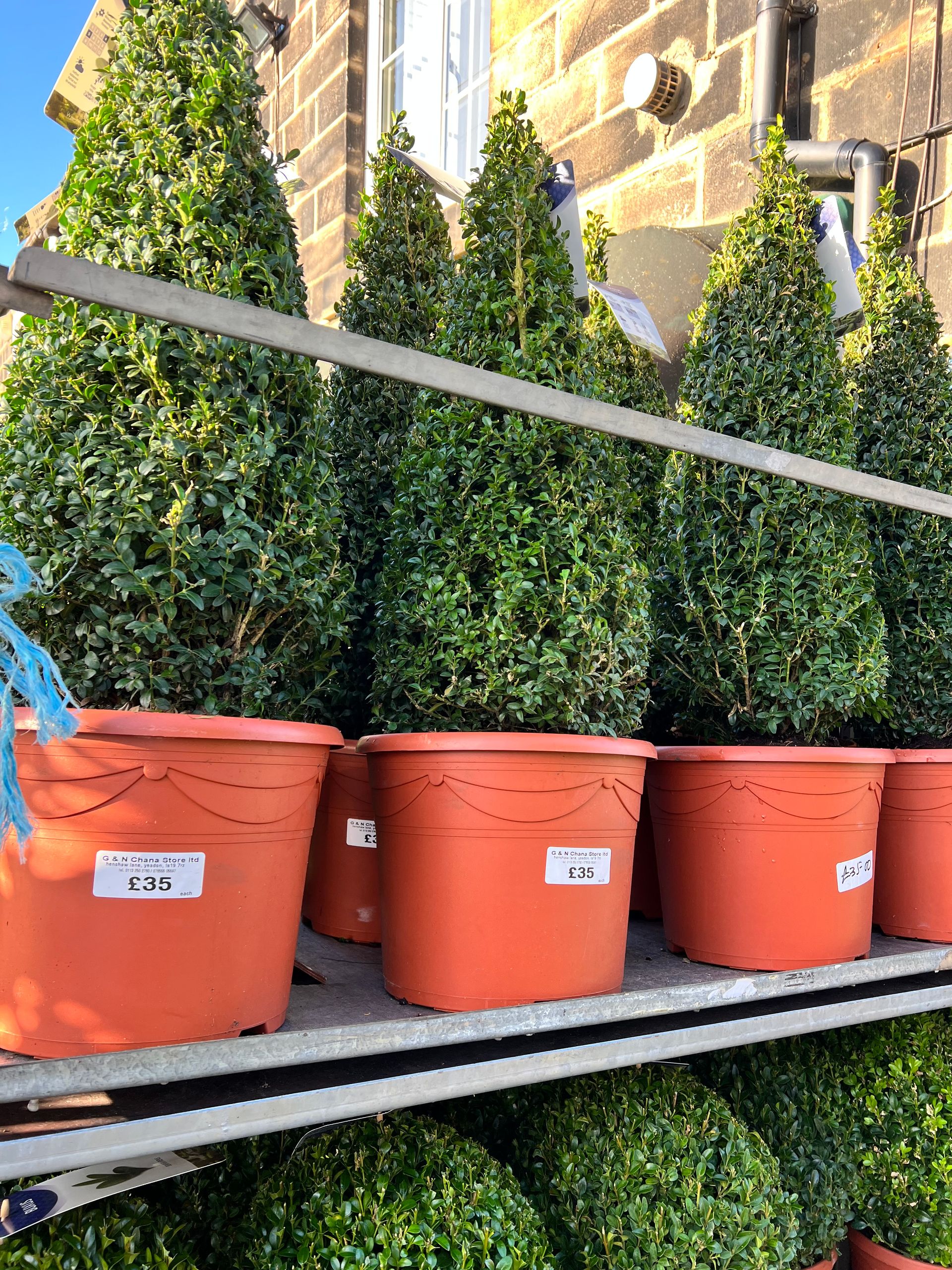 Gallery Garden Centre Yeadon, Leeds Chana Store