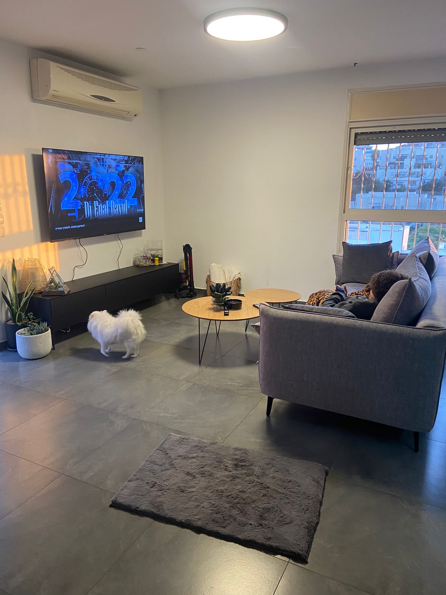 סלון עם ספה, שולחן וטלוויזיה.