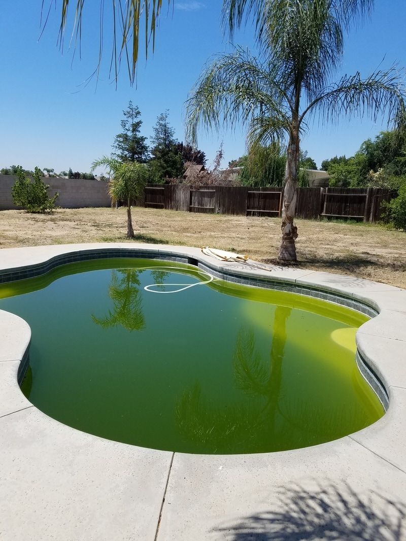 Before Pool Service 