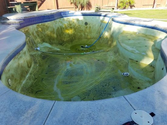 Pool Service Before
