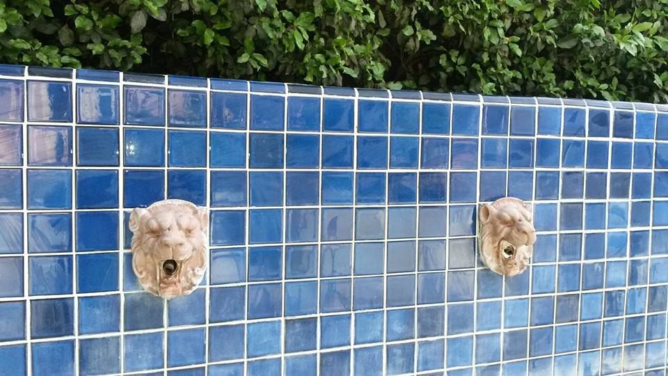 After Pool Service 